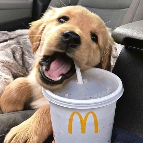 Meet your Posher, Oceana - Picture 1 of 1